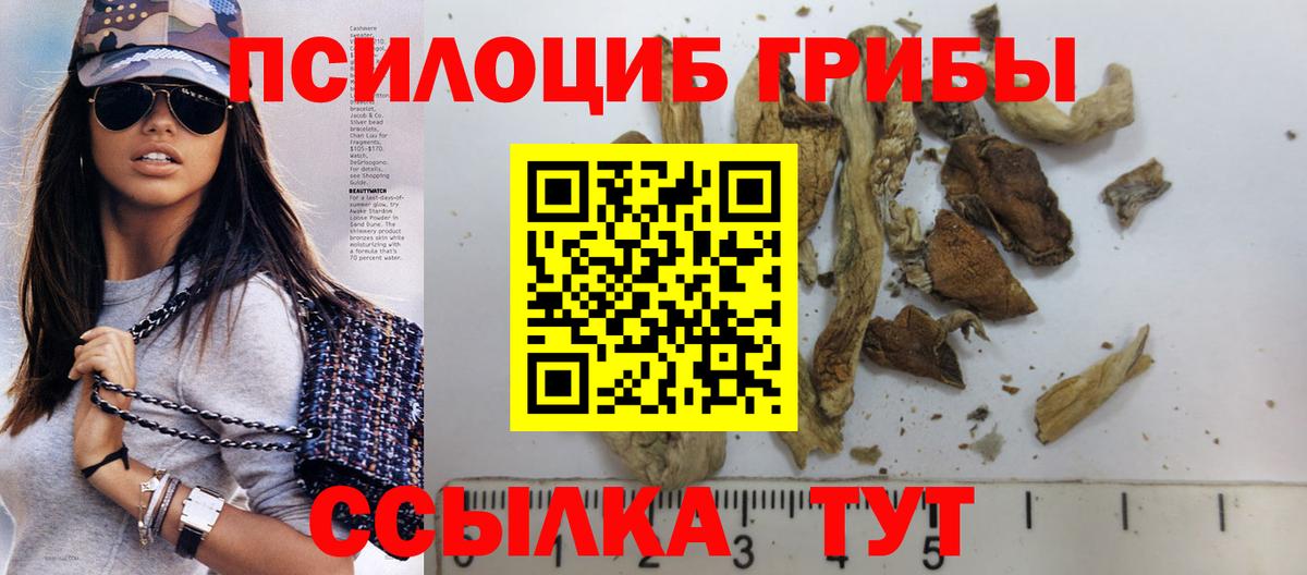 Псилоцибиновые грибы MAGIC MUSHROOMS Азнакаево