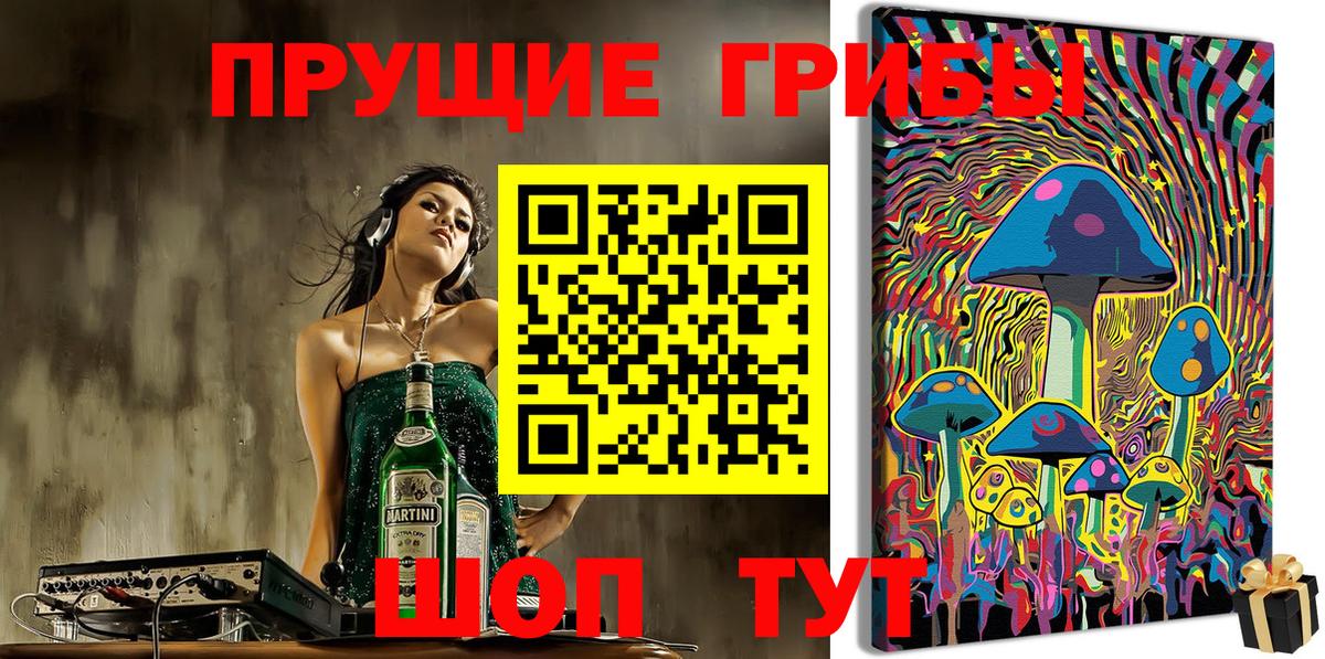 Псилоцибиновые грибы Psilocybine cubensis  Псилоцибиновые грибы мицелий  Азнакаево  Вход с VPN 